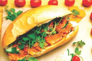 （資料圖來源：互聯網）