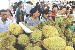 （資料圖來源：仁建）