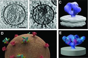 （資料圖來源：互聯網）
