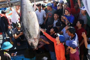 （資料圖來源：TT）