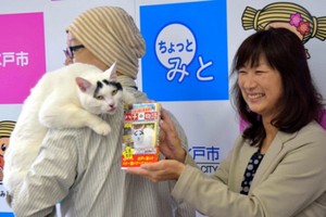 （資料圖來源：互聯網）