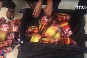 （資料圖來源：越通社視頻截圖）