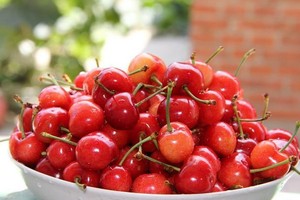 （資料圖來源：互聯網）