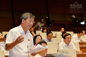 河內市國會代表阮英智在會上提意見。(資料圖：互聯網)