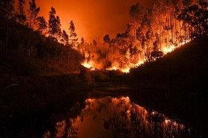 葡萄牙中部森林火災已致57人死亡。（圖源：PATRICIA DE MELO MOREIRA）