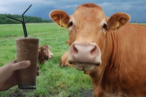 （示意圖來源：互聯網）