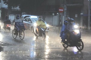 （資料圖來源：互聯網）