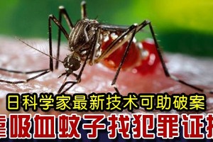 示意圖。（圖源：互聯網）