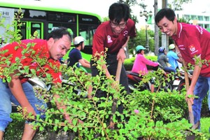 志願青年打掃街道。(圖源：互聯網)