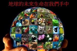 示意圖。（圖片來源：互聯網）