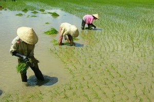 示意圖。（圖片來源：互聯網）