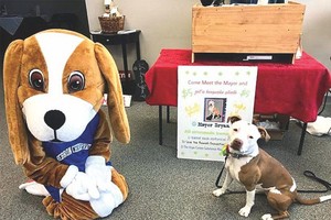 （資料圖來源：互聯網）