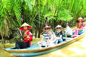 遊客參加檳椥省生態旅遊活動。