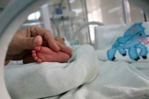 一名在加拿大出生的嬰兒被認為是世界上首位出生時沒有正式性別認證的人。(圖源：美國福克斯新聞網)