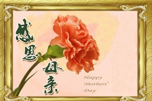 示意圖。（圖片來源：互聯網）