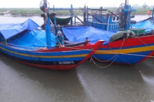 漁船回港避風。（圖源：互聯網）