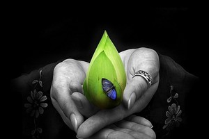 示意圖。（圖片來源：互聯網）