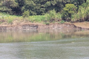 非法開採河沙，致使河岸坍塌。（圖源：互聯網）