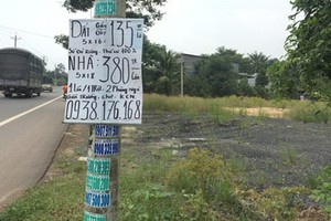 在同奈省隆城縣隨處可見的土地轉讓牌。（圖源：互聯網）