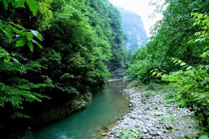 地球上的自然資源。（圖源：互聯網）