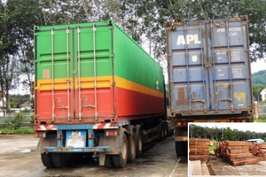 大圖為被扣留的兩輛集裝箱車。小圖為40立方米來歷不明的大果紫檀木。（圖源：互聯網）