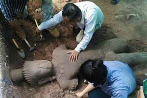 （資料圖源：互聯網）