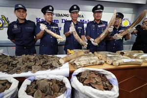 （資料圖源：Vincent Thian/AP）