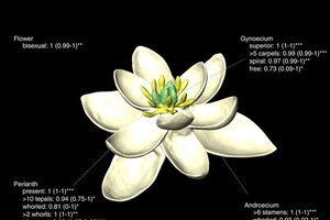 （資料圖源：互聯網）