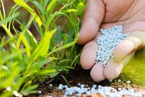 工商部近日公佈的暫行保護措施給我國的DAP與MAP化肥產業帶來了一定程度上的稅收優惠。（示意圖源：互聯網）