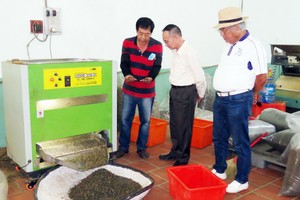 林同台商鑫安茶葉公司生產車間。