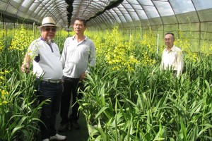 魏東山副總經理（中）帶領參觀文心蘭園區。
