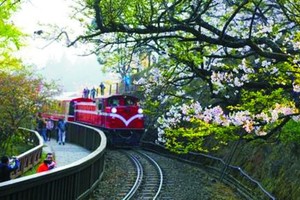 阿里山森林遊樂區。（圖源：互聯網）