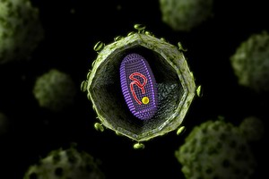 愛滋病病毒。（圖源：互聯網）