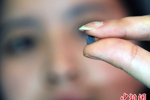 芯片。（資料圖源：中新網）