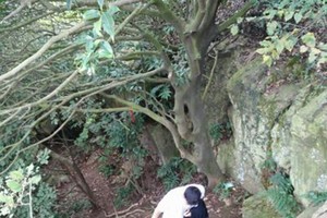 （示意圖源：互聯網）