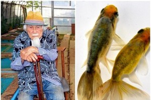 （資料圖源：互聯網）