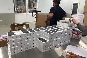 （資料圖源：海關網報）