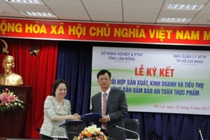 （資料圖源：CTV）