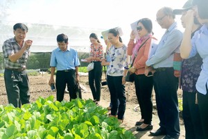 各單位前往農場宣傳及為農民諮詢種植達安全標準的商品。