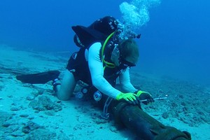 修復海底光纜需３至４週。（示意圖源：互聯網）