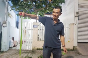 （資料圖源：互聯網）