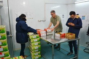 FDA已對我國企業提出32項警告，因為我國企業不及時掌握和適應美國進口新政策。（圖源：光輝）