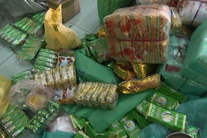 （資料圖源：春藍）