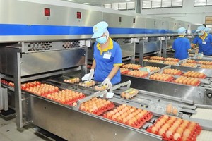 巴勳公司的生產線一瞥。