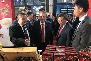 政府常務副總理張和平（左二）參觀越南企業的展位。