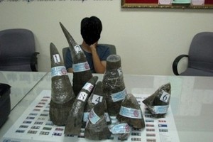 新山一機場海關查獲非法走私犀牛角。