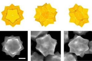 對稱的納米金星。（圖源：J. Am. Chem. Soc.）