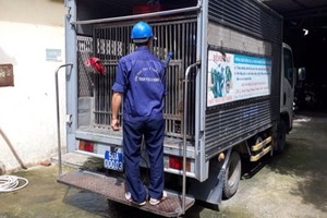 工作隊有專用車，車上有狗籠，車身兩邊有宣傳看板，工作人員身穿 背後印有市獸醫分局動物防疫和檢疫站字樣的深藍色制服。