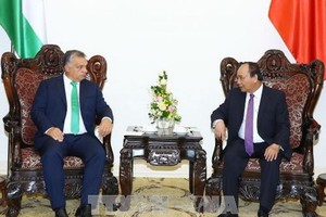 （資料圖源：互聯網）