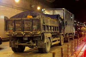 （資料圖源：G.Minh）